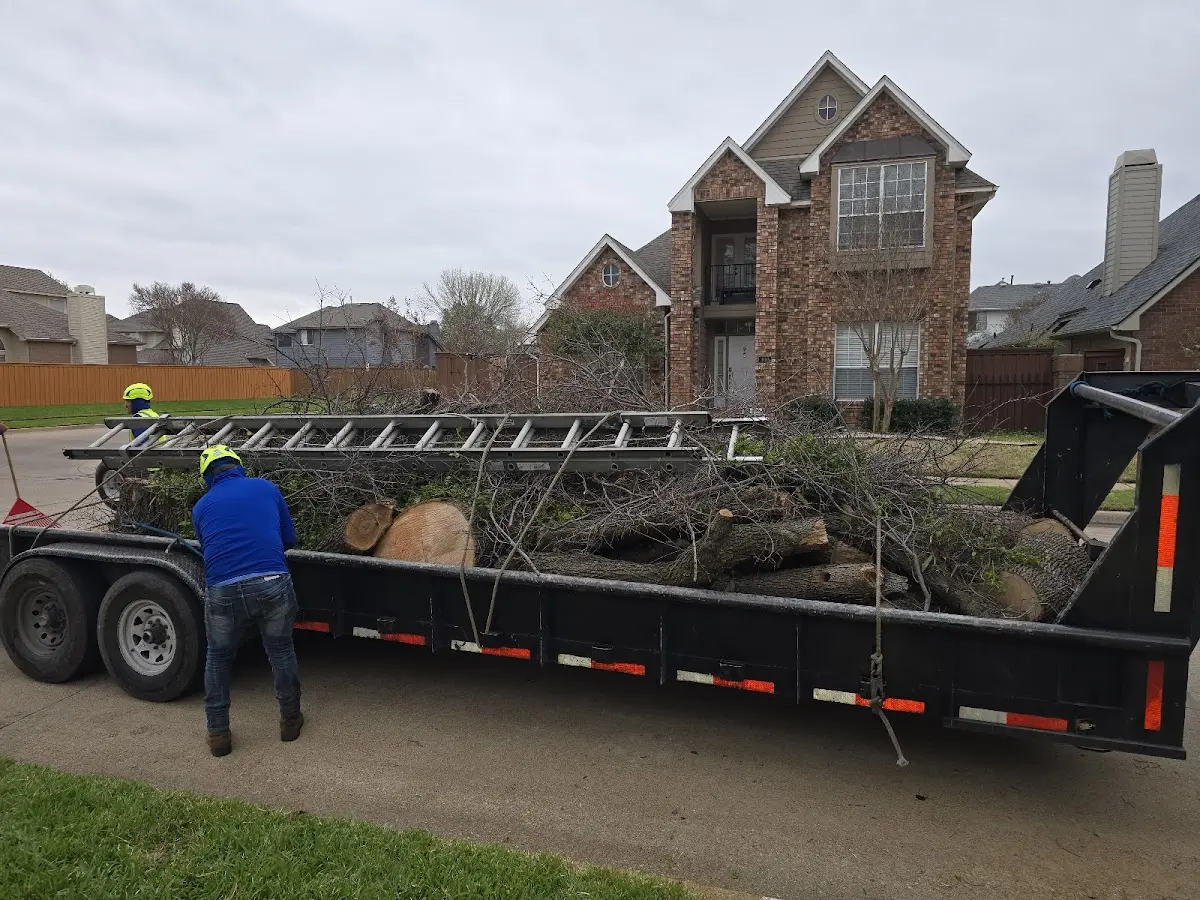 Expert Tree Fertilization with proper safety equipment in Drayton